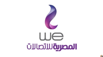 تحديث سريع.. سداد فاتورة التليفون الأرضي 2026 عبر موقع المصرية للاتصالات